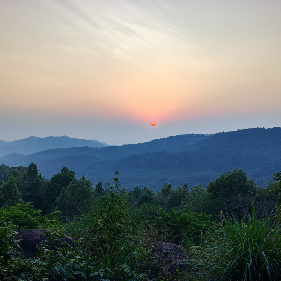 PhotoGraphy Bootcamp 1