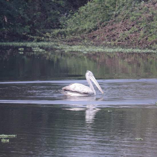 PhotoGraphy Bootcamp 3