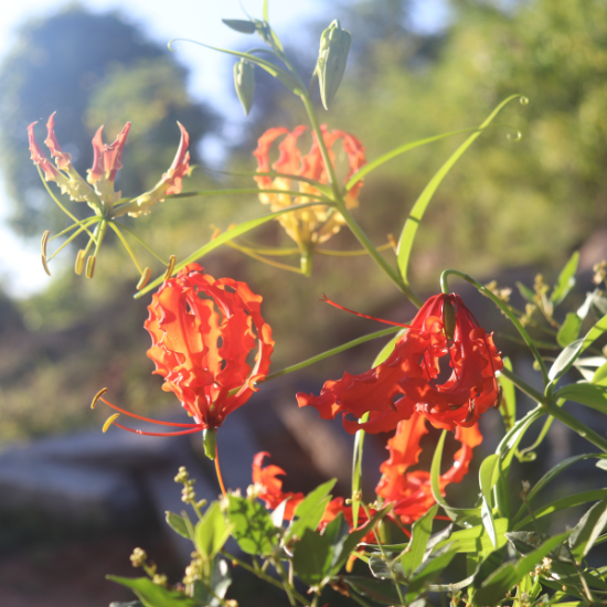 PhotoGraphy Bootcamp 4