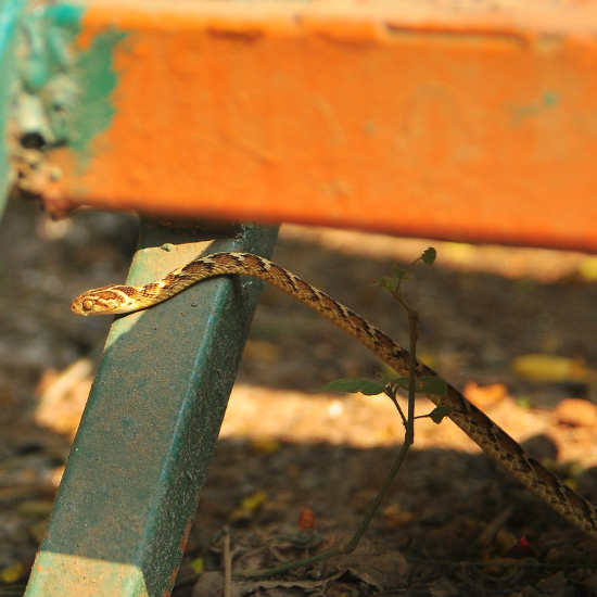 PhotoGraphy Bootcamp 5