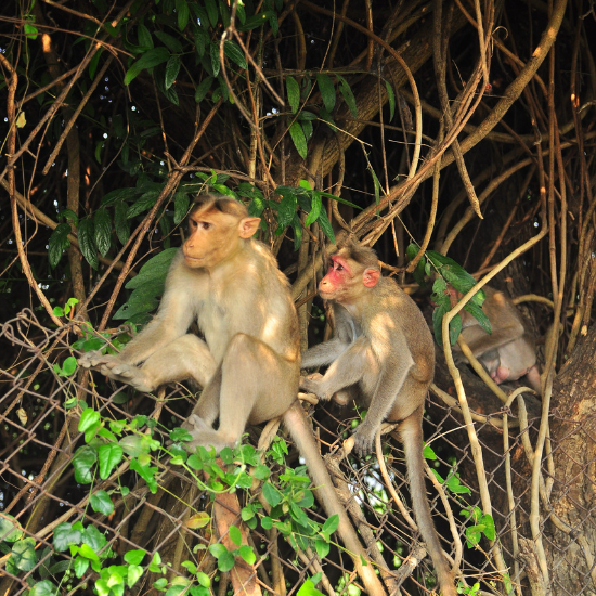 PhotoGraphy Bootcamp 6