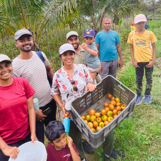 General Camping image (1)